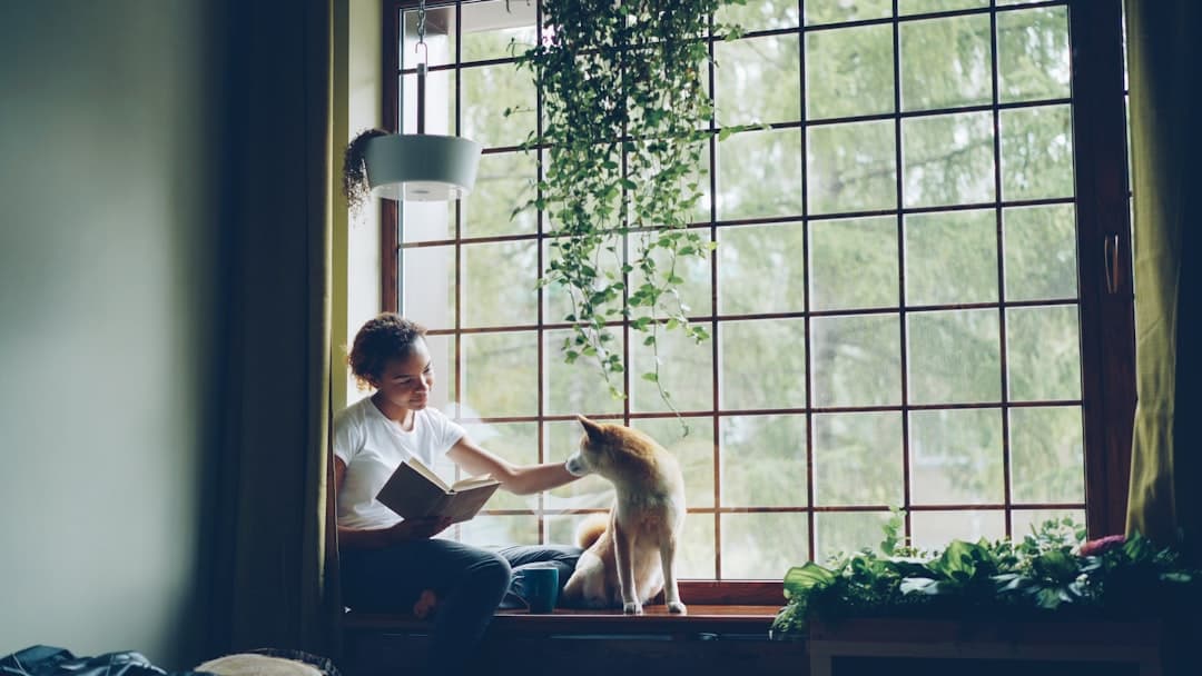 How AI Can Help Pet Owners